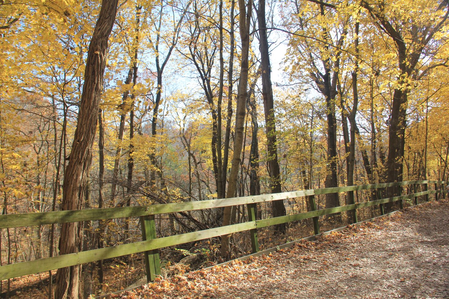 Matthiessen 